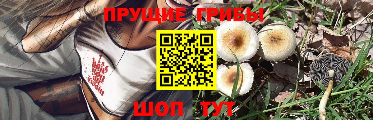 Галлюциногенные грибы прущие грибы Новоалтайск