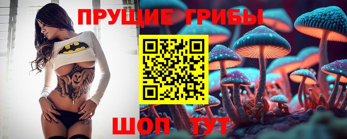 Псилоцибиновые грибы Magic Shrooms  Вход с VPN  где продают наркотики  Новоалтайск 